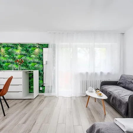 Shortstaypoland Anielewicza B130 *